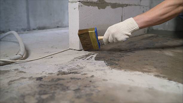 Trusted Waterproofing service in Loachapoka, AL - SGP Waterproofing